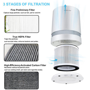 Compact Personal Air Purifier For Home True HEPA Filters: Purifiers Filtration with Night Light Air Cleaner by RIGOGLIOSO